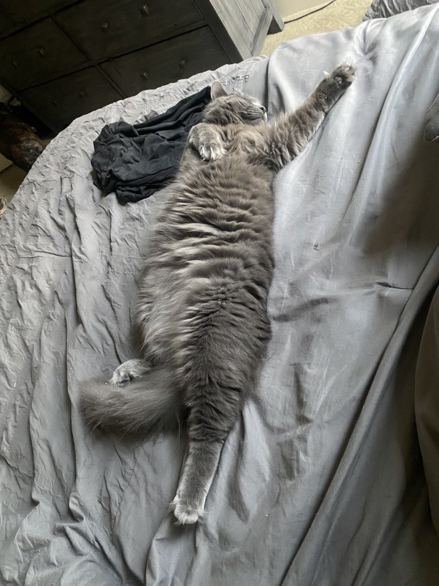 AdvoKayden's tweet photo. How do I become so unbothered that I sleep like Dwayne? https://t.co/i33VGeNUbi