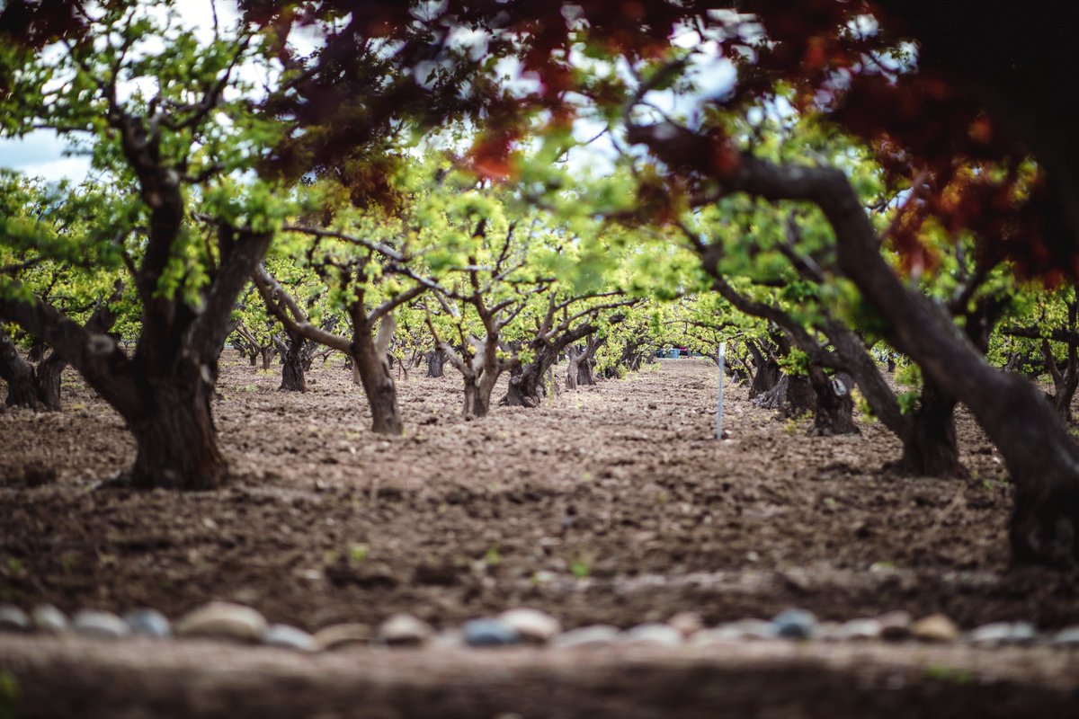 🎆We are exciting to continue activities on FruitCREWS Cost Action!

🕒On 3rd May at 15 CET will be held Working Group 1 meeting. On this meeting WG1 members will discuss the results of the survey held among the members of the Action. 📊📈

#irrigation #database #water