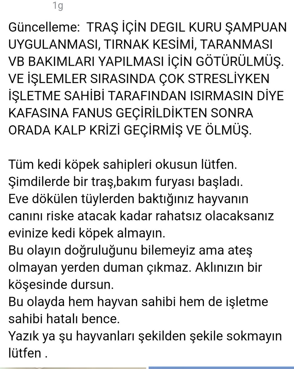 Traştır, şampuandır çocukları stresten boğmaya başladınız. Yok temiz olsun yok güzel koksun yok tüy dökmesin. Alın bir oyuncak dursun köşenizde madem. Çocuğunuzun stres yaptığını bile bile neden üstüne gidiyorsunuz? Kalp krizinden melek olmuş yavrum. Oyuncak ettiniz hayvanları.