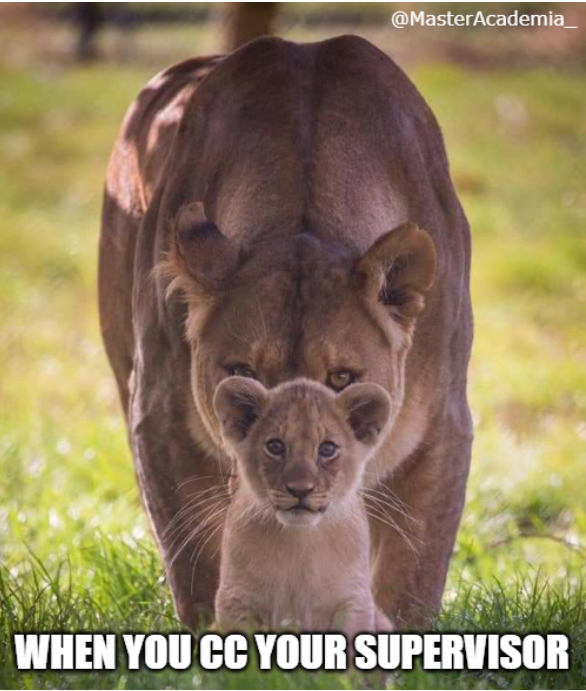 Master Academia tweet media