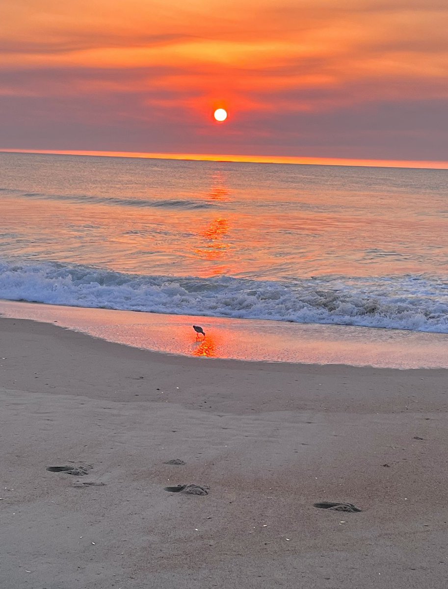 mandabgp's tweet photo. OBX sunrises have my heart https://t.co/50qQNfCbFF