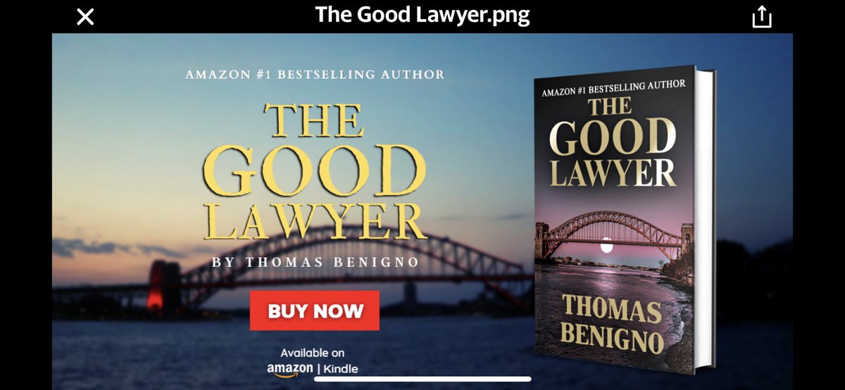 Thomas Benigno Author of The Good Lawyer Series tweet media
