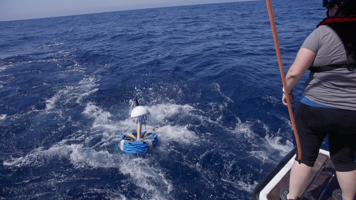 socib_icts's tweet photo. 🆕During the #FaSt_SWOT 2023 #OceanographicCruise, we have deployed 5 SVP-B #drifters from the #GlobalDrifterProgram (@NOAA &amp; @Scripps_Ocean #Lagrangian Drifter Lab) in the #Mediterranean #Sea 🌊

🔛Follow #RealTime #data via https://t.co/J5EvFGVfQO
#SWOTmission #ICTSNews https://t.co/54WjQ4oko6