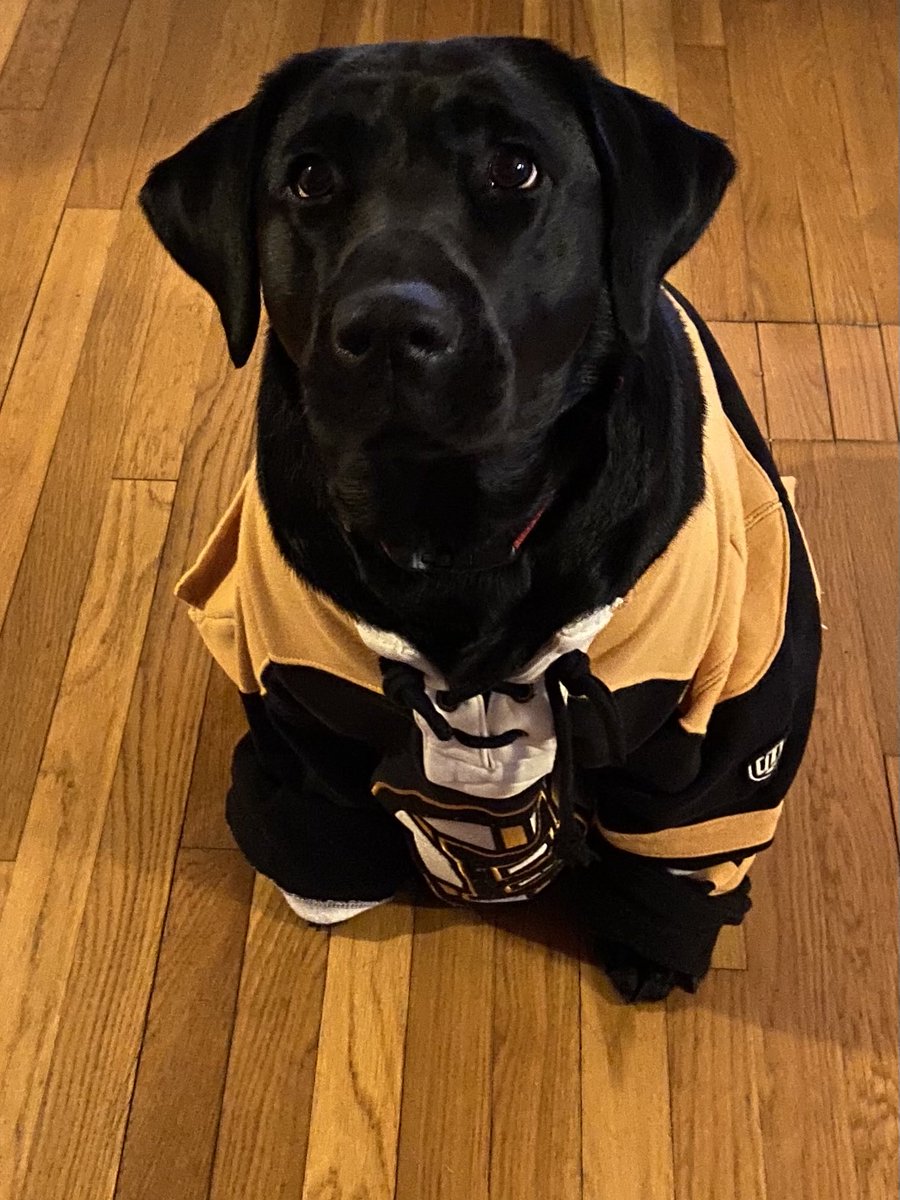 Time to release the hounds tonight!!
Let’s finish this series and move on!