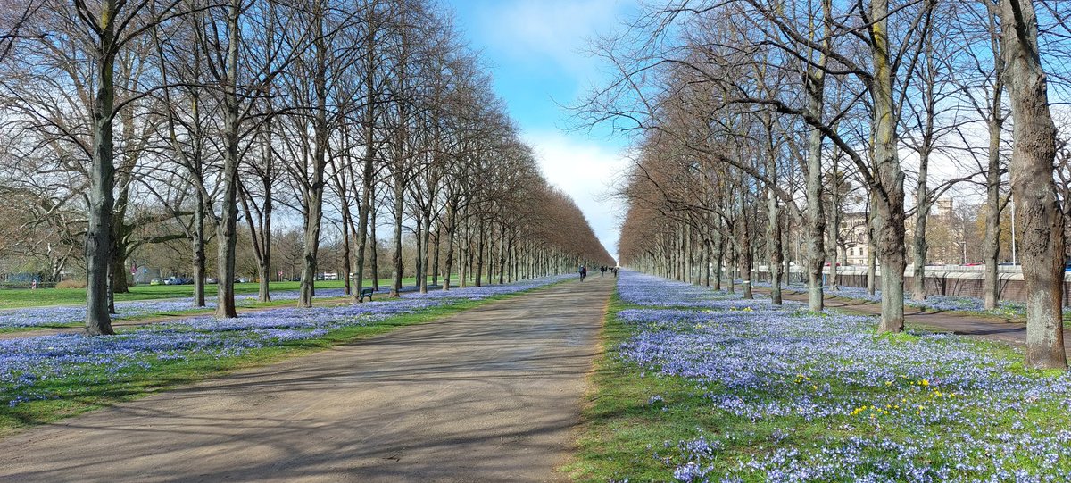 Andrew Cook tweet media