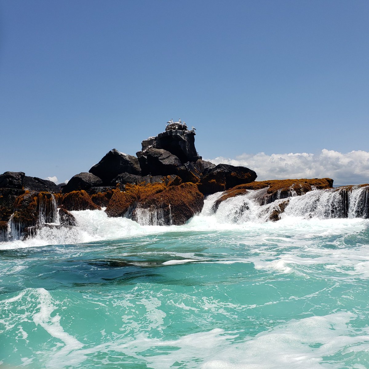 Somewhere near #isabelaisland in the #galapagos #pacificocean 

#sharebeauty