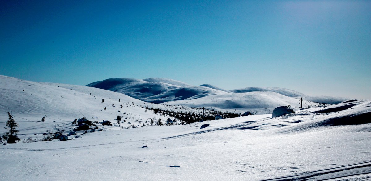 Tämän viikon tekstissä Tuuli kertoo uudesta post doc-pestistään. Mukana myös varsin keskiluokkaista tutkijan urakriiseilyä!
akatemianjalkavaki.fi/2023/04/28/uut…