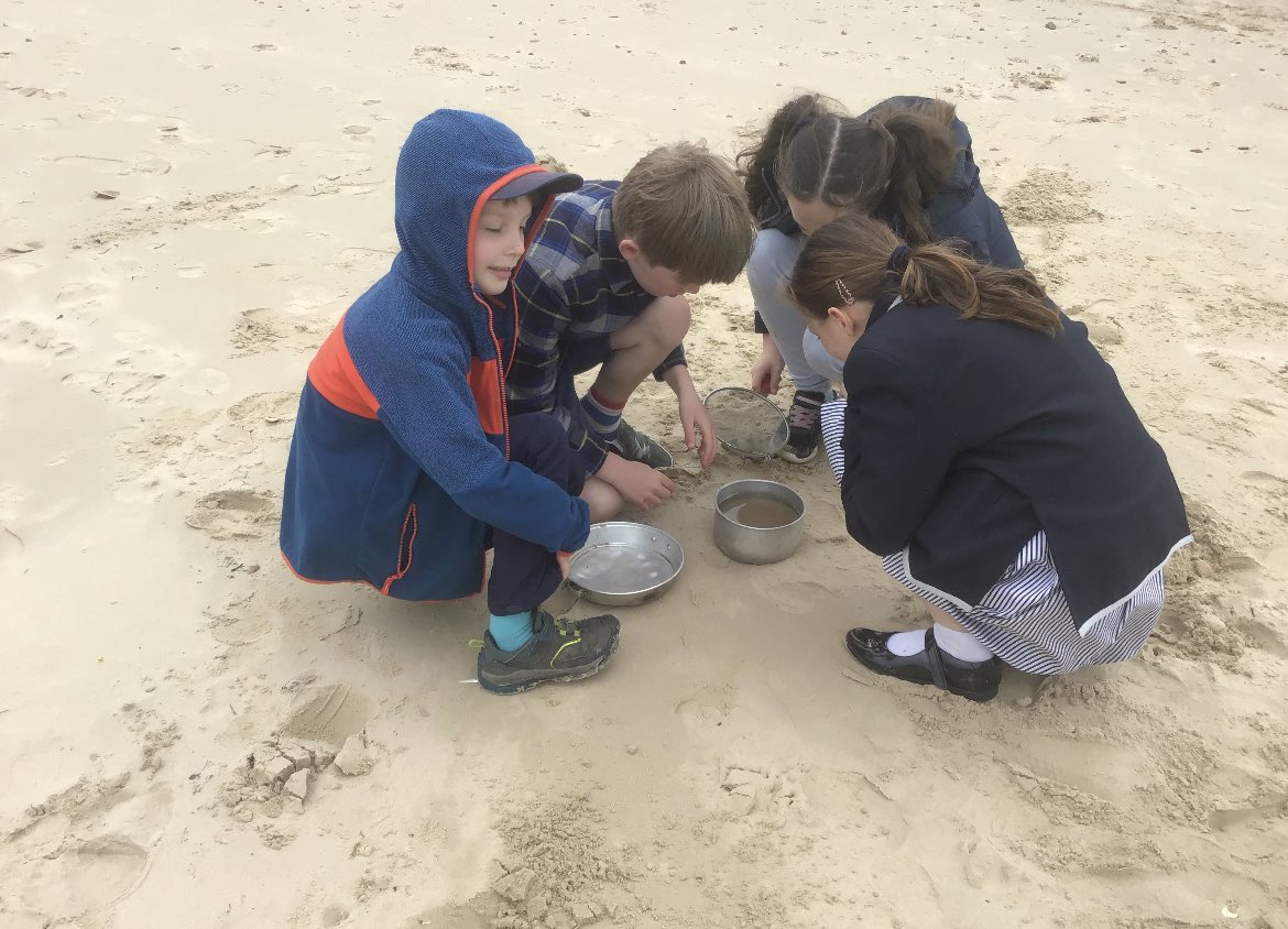 Karen Wyborn tweet media