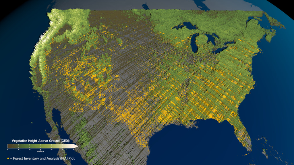 Scientists at @nasa teamed up with the <a href="/forestservice/">USDA Forest Service</a> to create the first-ever inventory of mature, old-growth forests in the U.S.

This visualization shows vegetation height across the U.S. (shown in green, with lighter color indicating taller trees). go.nasa.gov/3oLcvVg