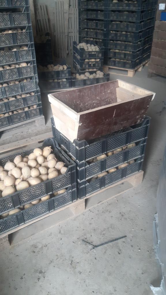 Kiembakjes omstorten is net ff makkelijker met een zelfgemaakt trechtertje 👌#duurtlang #endoor