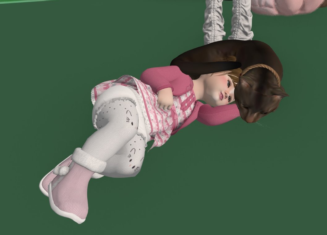 ta_56's tweet photo. にゃんこお迎えしました🐈
「たま」ちゃん？　　君？

ゆぁも楽しそう＾＾

＃secondlife   #Zooby https://t.co/vNPygG0RGi
