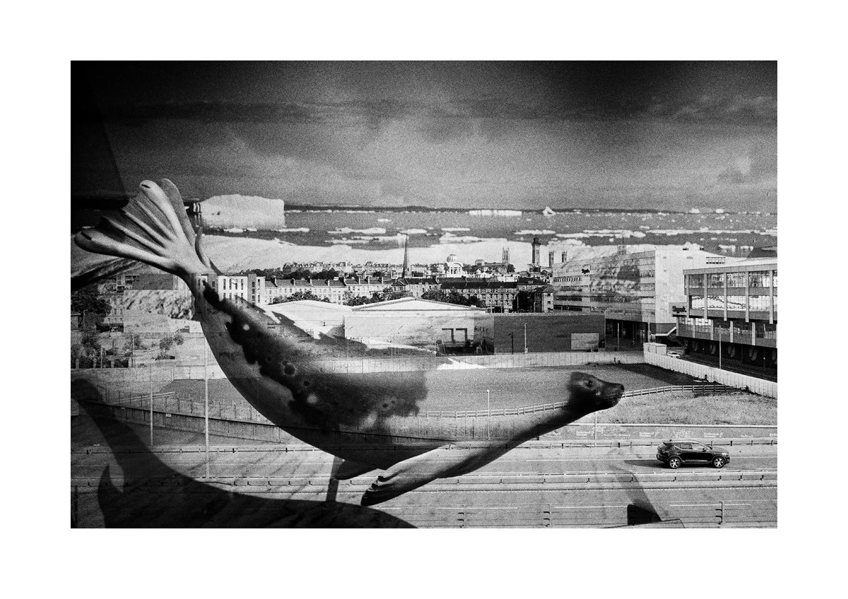 Photo-Networks Scotland (@photo_networks) on Twitter photo Lagoon 2 is Alasdair Dimmick’s second major solo exhibition of his double exposure photography. His work subscribes to the surrealist genre, creating dreamlike - and in some cases, nightmarish - scene-scapes.
<a href="/SaltSpace1/">SaltSpace Cooperative</a> Glasgow 📍
04 May - 08 May 23
buff.ly/3oKYx5R Lagoon 2 is Alasdair Dimmick’s second major solo exhibition of his double exposure photography. His work subscribes to the surrealist genre, creating dreamlike - and in some cases, nightmarish - scene-scapes.
<a href="/SaltSpace1/">SaltSpace Cooperative</a> Glasgow 📍
04 May - 08 May 23
buff.ly/3oKYx5R