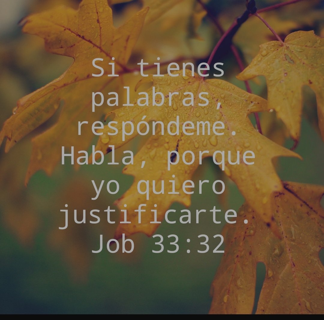 elva7310's tweet photo. #rpsp #Job33 #MiBibliaDice por fin alguien ha escuchado a Job desde el corazón,este joven se ha dado cuenta que Job está en una situación en la que solo Dios hace "para iluminarlo con la luz de la vida"(ver30)
Pidamos sabiduría a Dios para hablar lo que conviene;su amor,su gracia https://t.co/Sp0JwKNmbi