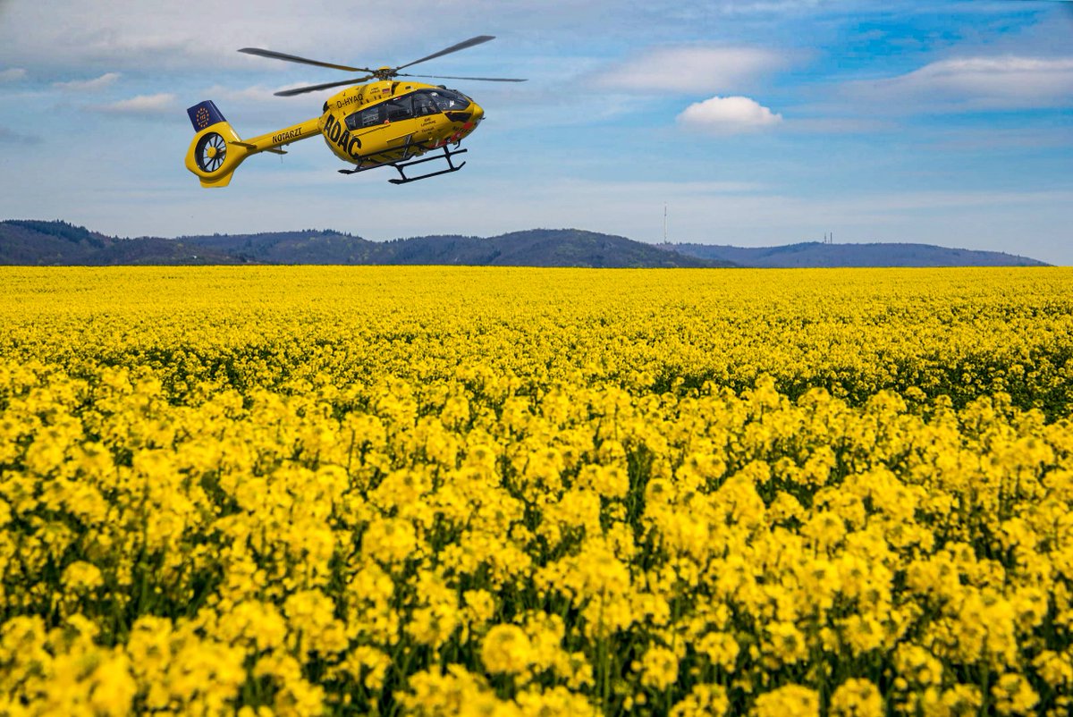 Pfalzfoto's tweet photo. Keine AI, sondern eine Mischung aus Lightroom, Photoshop und Gimp. 😀
Christoph66 über einem Rapsfeld am Donnersberg
#Christoph66 #Westpfalz #Nordpfalz #Imsweiler #Rettungshubschrauber #Intensivtransporthubschrauber https://t.co/hAgC39xoNY