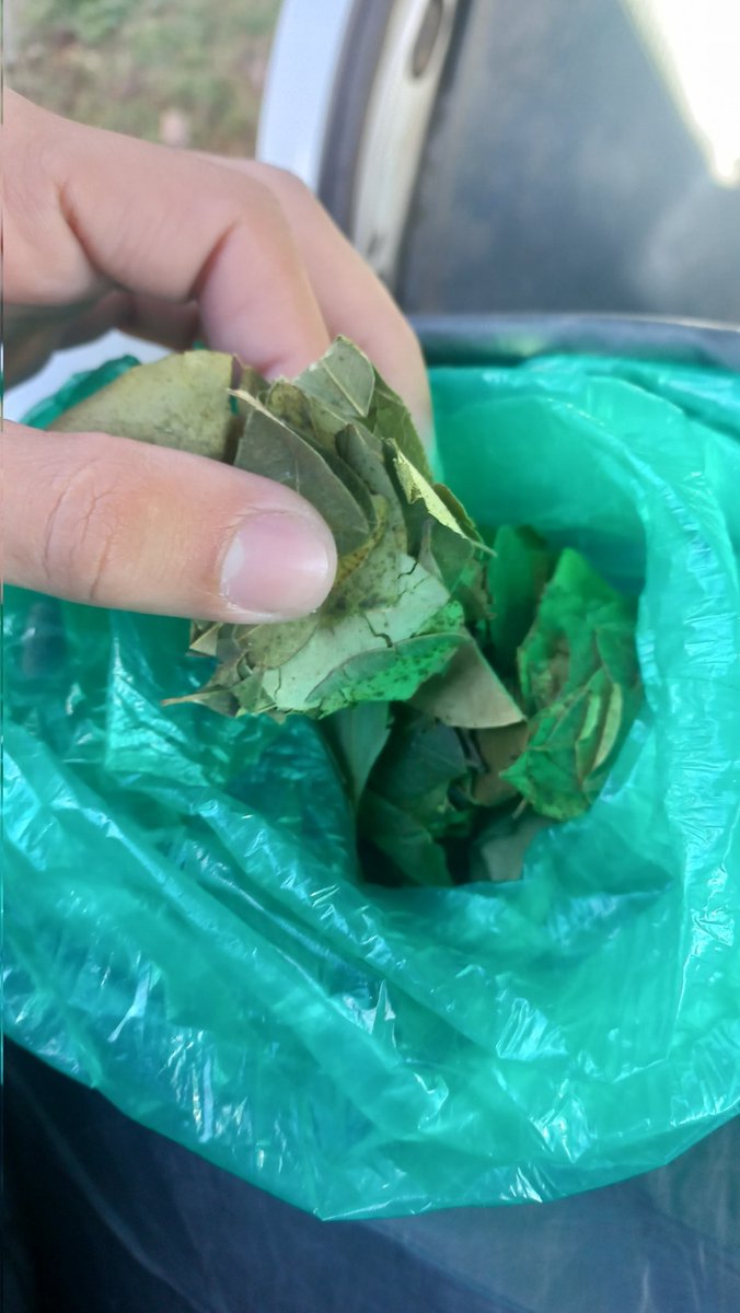 Va a estar largo el viaje