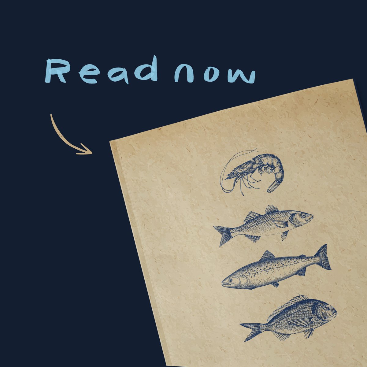 Har du fått med deg at vi har lansert vår nye bærekraftsrapport? 🌍

𝗟𝗲𝘀 𝗵𝗲𝗹𝗲 𝗿𝗮𝗽𝗽𝗼𝗿𝘁𝗲𝗻 𝗵𝗲𝗿: 
loom.ly/JZHKP44