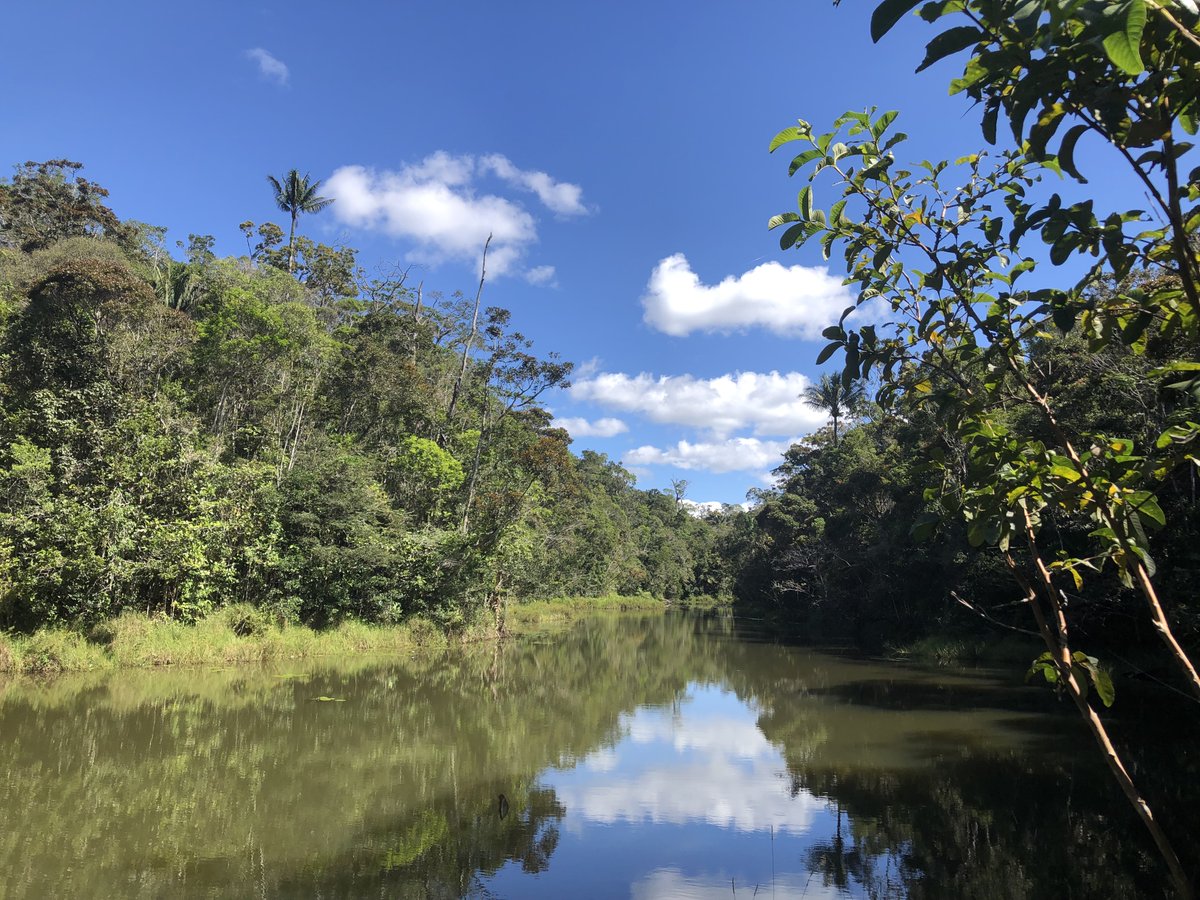 IsabelLarridon's tweet photo. There is still time to apply to the 5 open 4-year Kew Research Fellow positions aligned with the
@KewScience
Strategy Priorities. DEADLINE 7 May 2023. This includes a fellowship in #AcceleratedTaxonomy see: https://t.co/eTQgZPYNZy https://t.co/gq3cYwHj6q