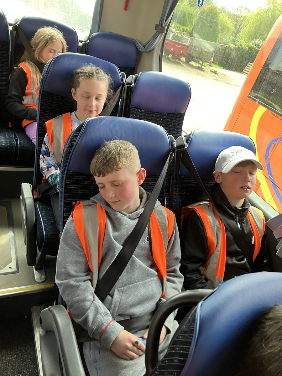 crontonceprimary tweet media