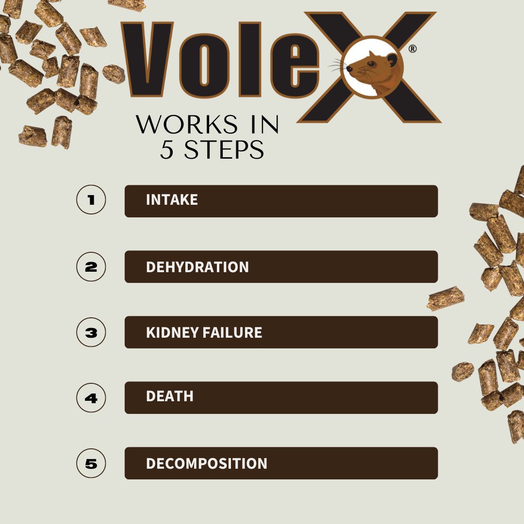 There's not much time left to prepare for peak vole season.

Head to our website to see how VoleX can save your lawn, garden, ornamentals, fruit and vegetable crops, and more! 

ecoclearproducts.com/products/volex
