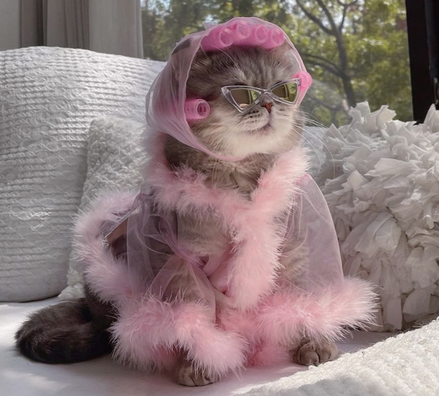 Bank holiday MOOD✨