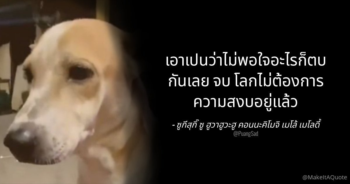 rosie pokie 39 tweet media