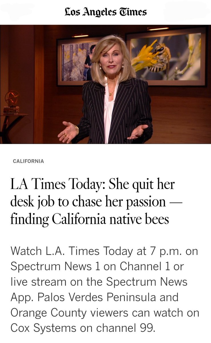 BeeSipOnline's tweet photo. Had a wonderful time filming this piece about native bees with @latimes 

Click here to watch: https://t.co/QOTBVtK9go https://t.co/pqudeZIvrv