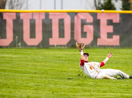 Judge Baseball tweet media