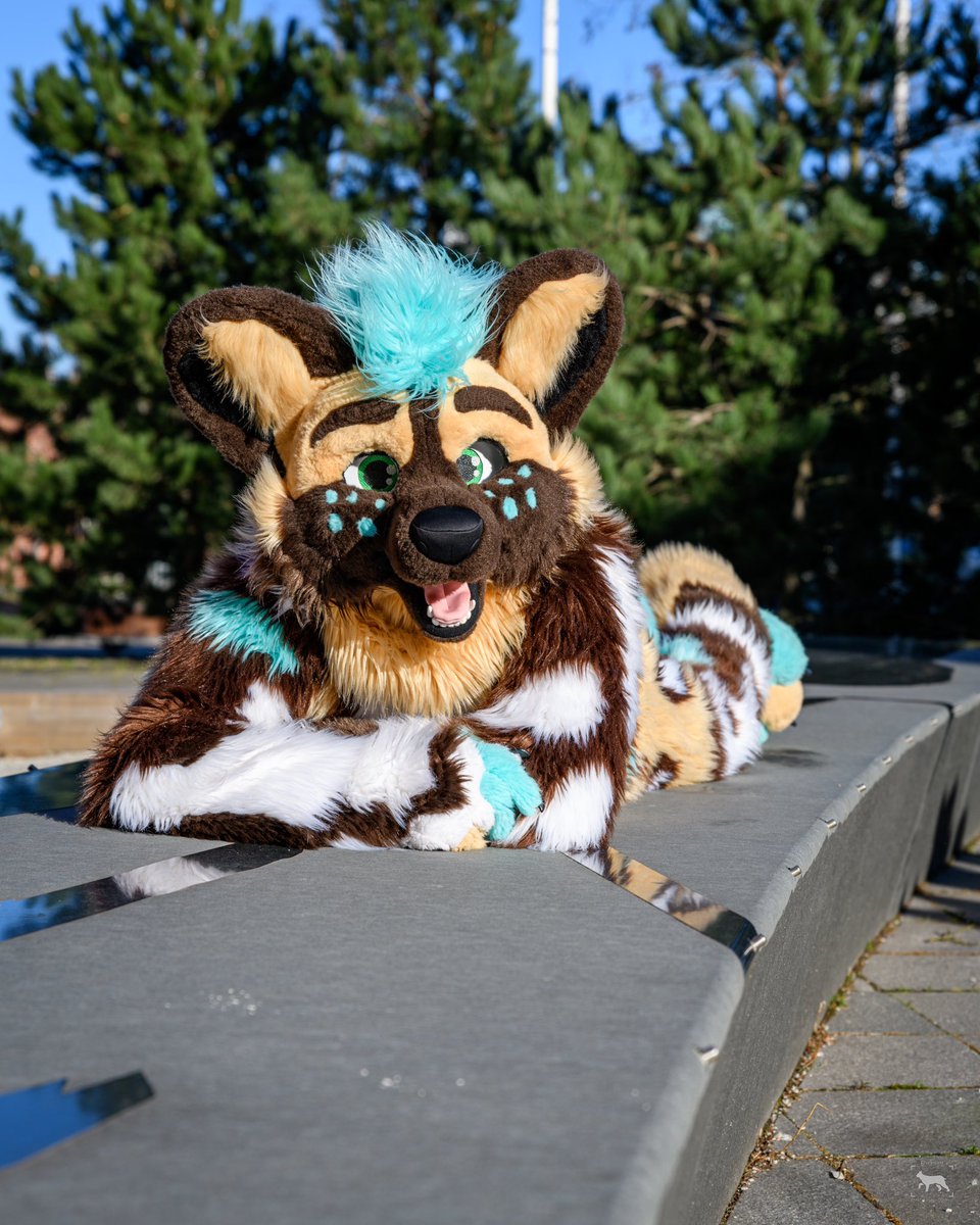 Swift (@swiftawd) on Twitter photo Nothing is better than a warm sun bath on a nice #FursuitFriday :3
The only thing missing now is you β€οΈ
πΈ <a href="/PinselLuchs/">Pinsel, The πΈ Lynx</a> Nothing is better than a warm sun bath on a nice #FursuitFriday :3
The only thing missing now is you β€οΈ
πΈ <a href="/PinselLuchs/">Pinsel, The πΈ Lynx</a>