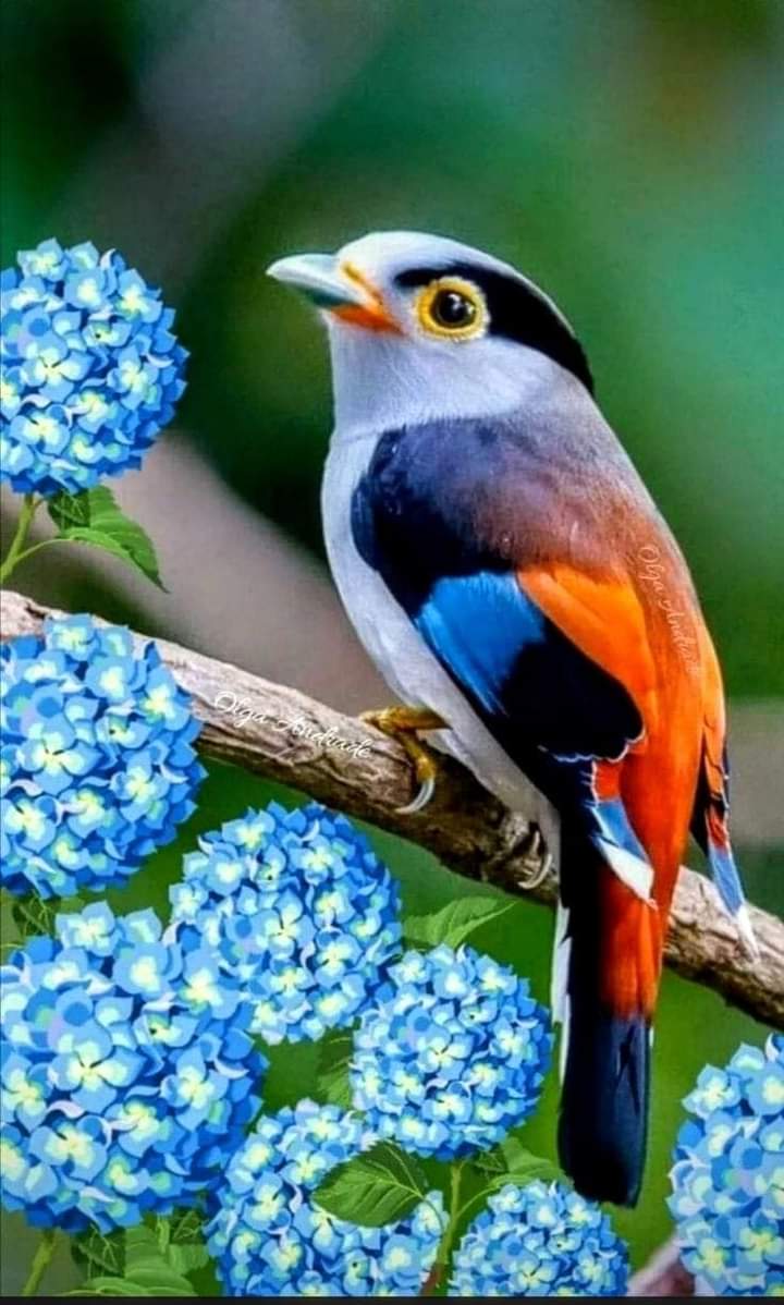 مانع نواف (@mnnwf186336) on Twitter photo 