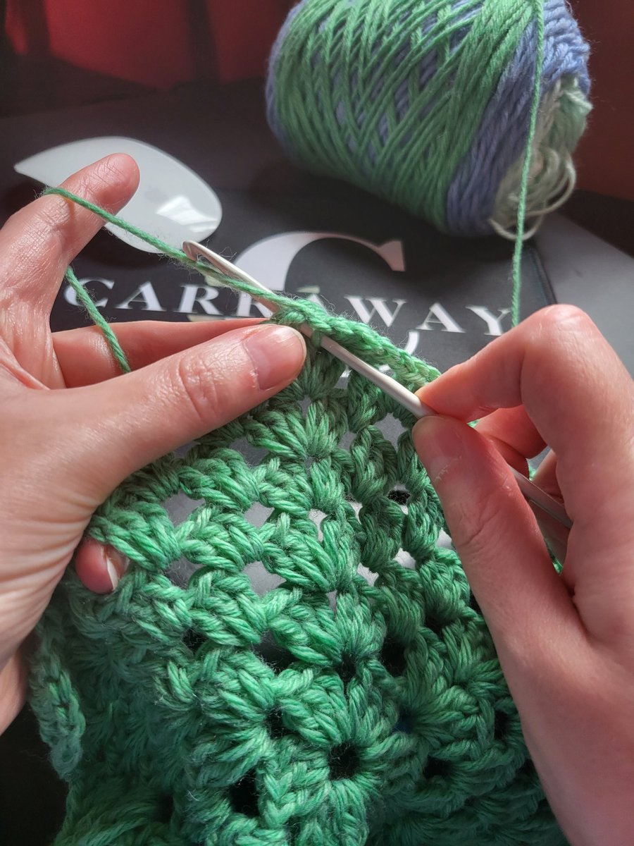 Renees_Reality's tweet photo. Yarn? From Holland
Crochet hook? Hand-me-down
Skill level? Zero

Ain't gonna stop me creating... #WatchThisSpace #CarrawayCraftCorner https://t.co/9cneodTYgW