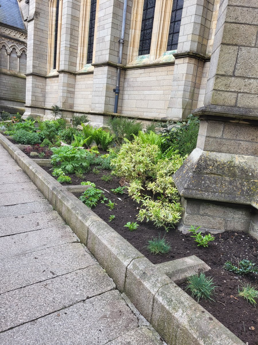 benminns89's tweet photo. Truro cathedral bed weeded and gap filles ready for summer ☀️ #truro https://t.co/7bfUv9Kw0T