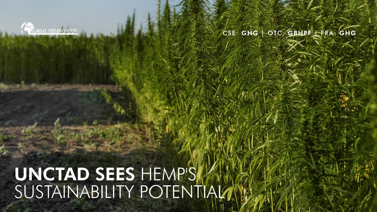Global Hemp Group Inc. tweet media