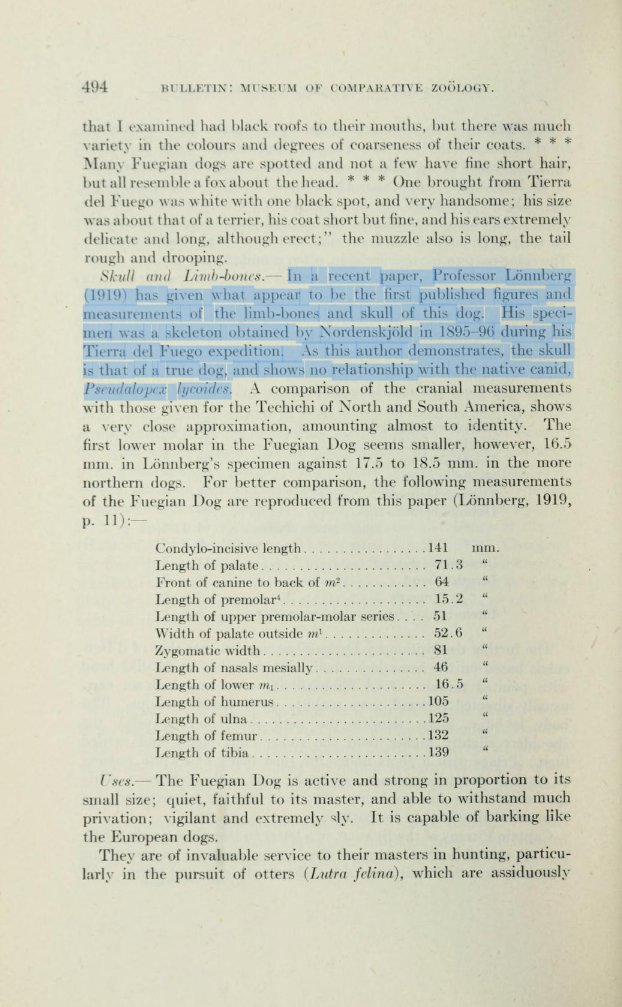 🔆Mx. Dizzy🔆 on Twitter "It was long thought that the foxiness of the