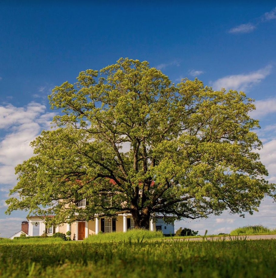 P. Allen Smith tweet media