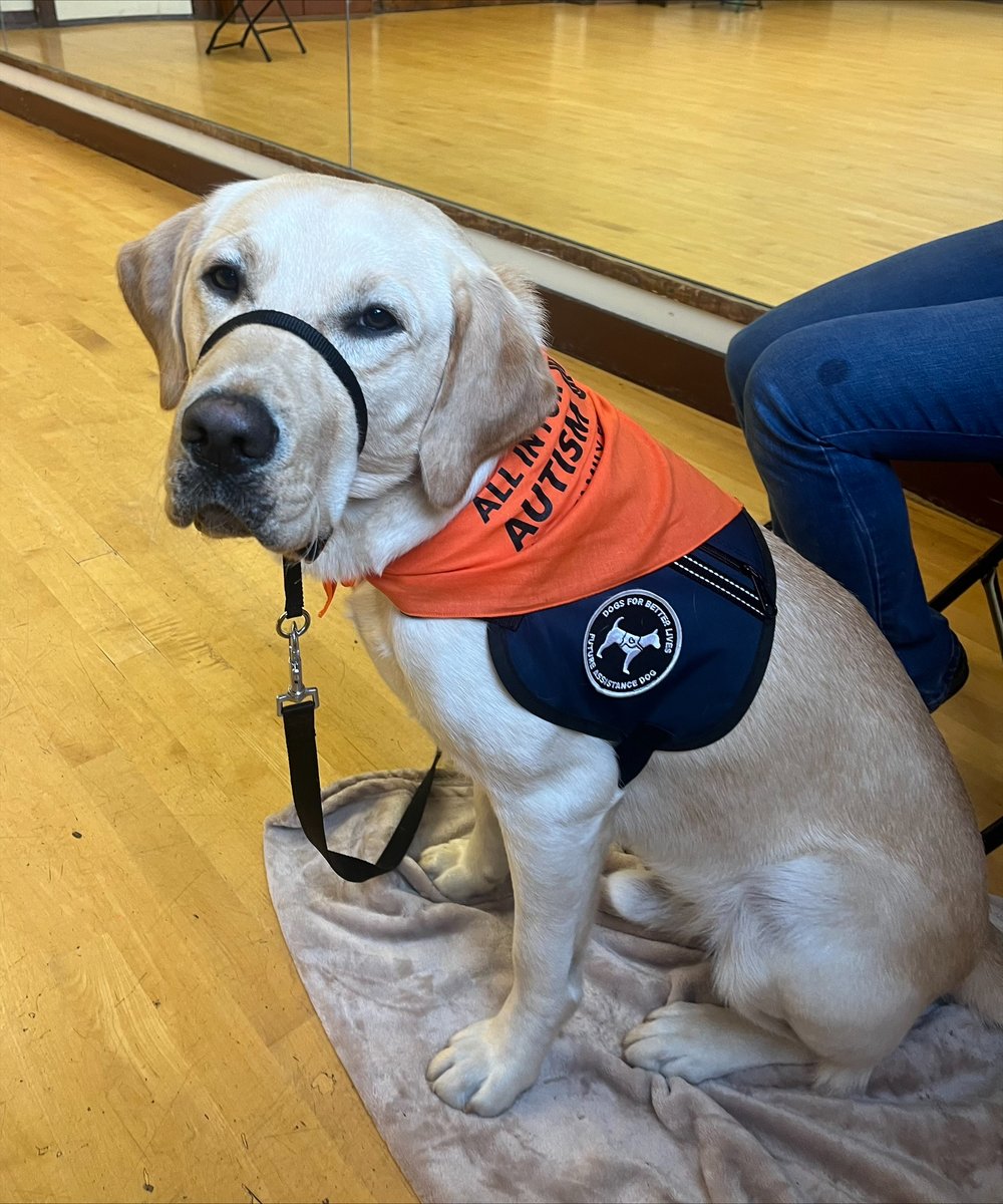 dogsbetterlives's tweet photo. DBL is honored to participate in the #AllInForAutism Bellevue (WA) 5k/10K Run/Walk on Sunday, April 30, 2023. If you are around, stop by and say 👋 as we will be there with some of our furry friends!
Register on https://t.co/4uwmjJgRiJ
#autismassistancedog #servicedog https://t.co/3fK9lMYyXy