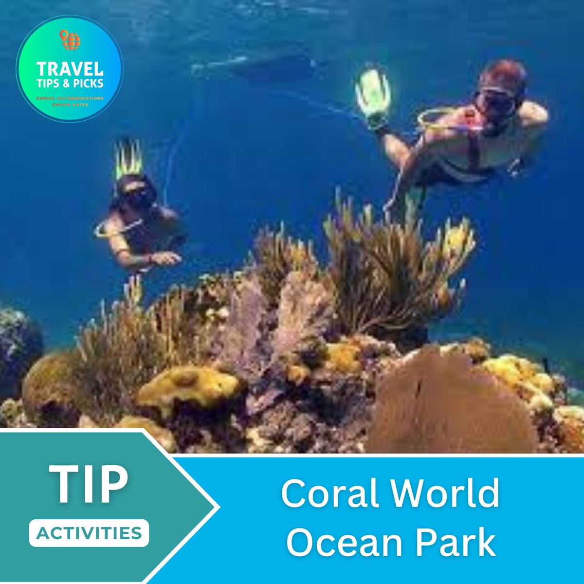 TravelTipsPicks's tweet photo. Coral World Ocean Park is a marine park and educational center located in St. Thomas, US Virgin Islands. It is a unique attraction that offers visitors the chance to explore and learn about the amazing world of coral reefs and tropical marine life. Get up clos... https://t.co/iae5jmZl42