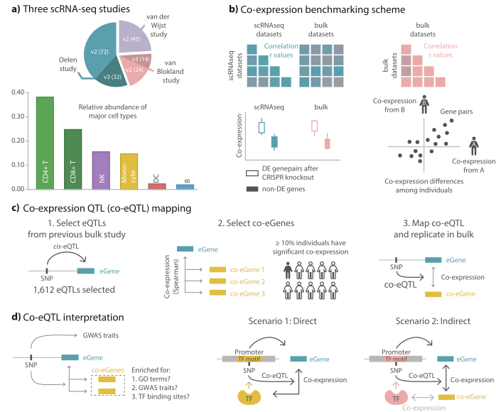 1/7 How do genetic variants affect co-expression patterns and how can this help us to interpret consequences of GWAS hits? In our latest preprint, we use scRNAseq to find such associations by mapping co-expression QTLs (co-eQTL)!  doi.org/10.1186/s13059…