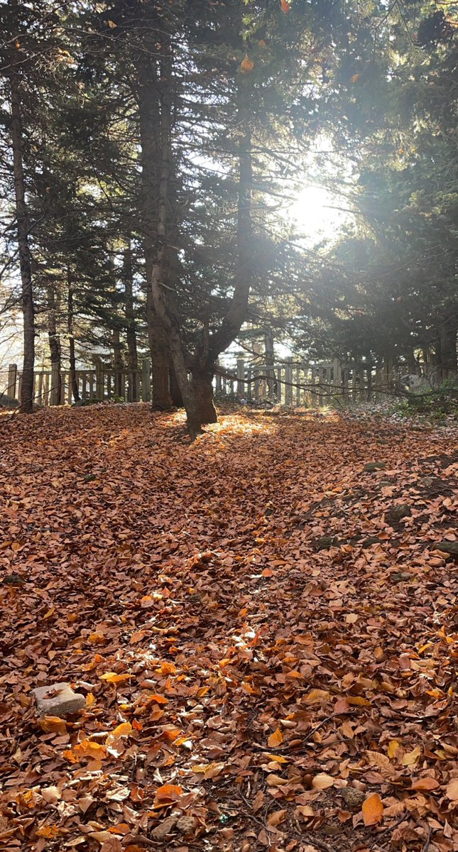 king7rb's tweet image. "أعتذر لعمري الثلاثيني على روتيني السبعيني"🖤🎵