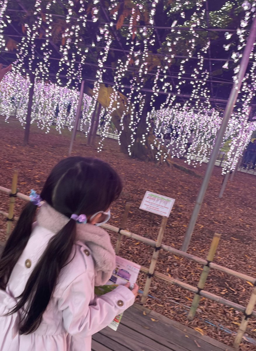 MercuryMell's tweet photo. @nk2ya1 ここ！私逆に夜イルミしか行ったことないから昼間行ってみたい🥺✨
夜めっちゃ綺麗だよー！！夜の部始まってすぐぐらいに行けばまだ明るいから花も見られるし、1時間もすればすぐ暗くなるからイルミネーションも見られるし！ https://t.co/islLRk0J09