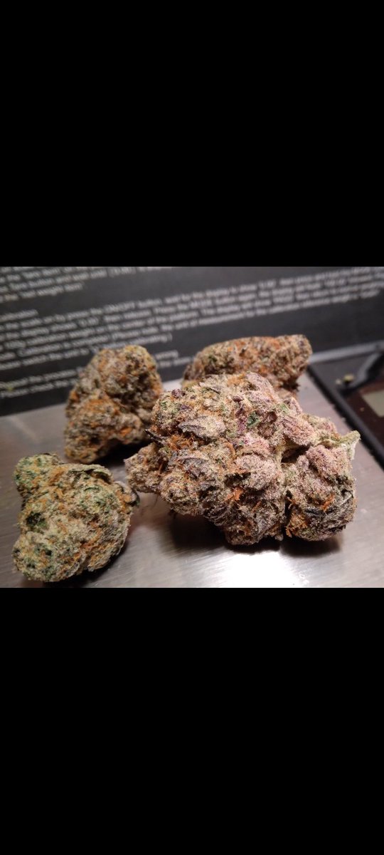 Floatin101's tweet photo. Today's strain review is Paradise. Paradise is very classy #Weed. 1st hit a clean herbal minty flavor that fades into apple cinnamon nutmeg taste similar to #NutriGrainBar Headhigh has a full focus feel while the bodyhigh is a creeper and it's is strong #Mmemberville #Marijuana https://t.co/RW0YK5JvQ5