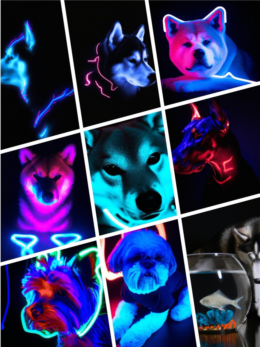 ⭐Added KAJIO55~63
⭐May happiness come to you and your loved one
⭐We will announce the sales time on Twitter, so please follow us there
#NFT
#opensea
#catlover
#doglover
#nftinvestor
#nftcollector
opensea.io/KAJIO