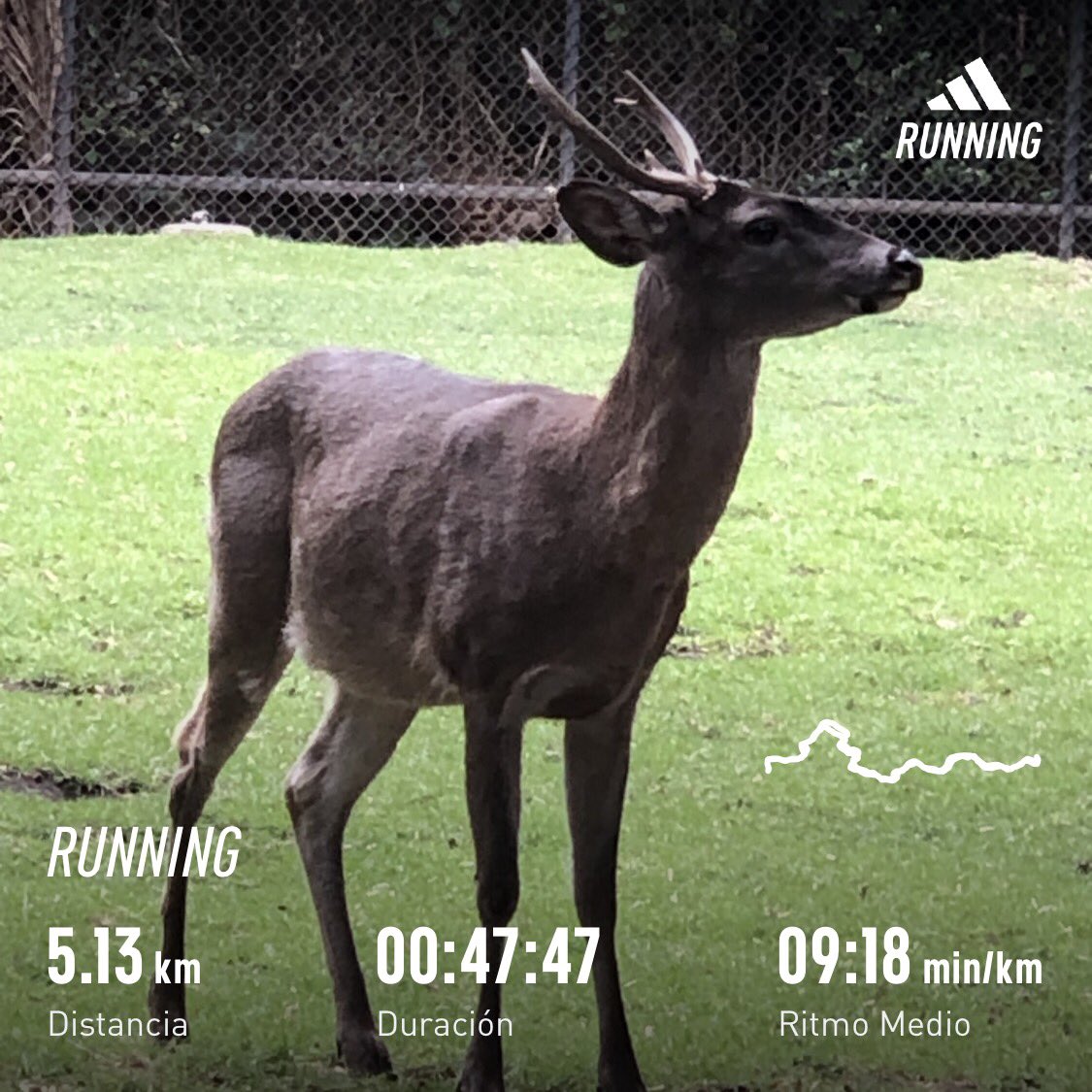 🐟💨🤙🏼 @yoelegicorrer1 #TrailRunning @LoveRunSmile #SierraGuerreroMX @SumandoKMx #AsicsTrail @RunnersWorldMex @marathorunners #YoElegíCorrer #Runners #Trail #LoveRunSmile #Runtastic #SumandoKMx #marathorunners