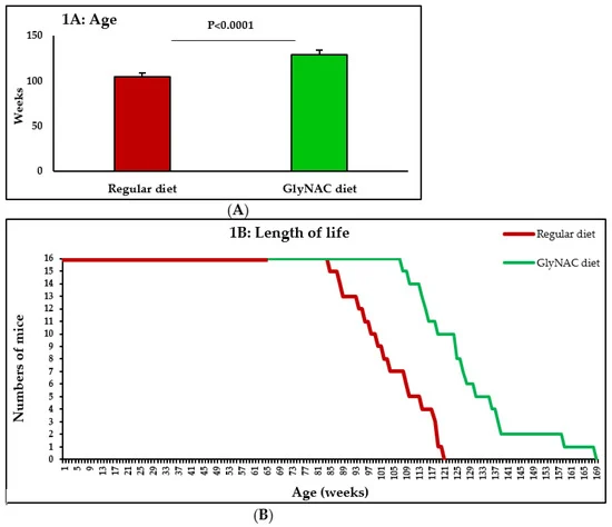GlyNAC supplementation increases lifespan in mice - a lot, by 24%.

Increased glutathione and improved mitochondrial function. 

Both glycine and NAC are cheap and safe OTC supplements.