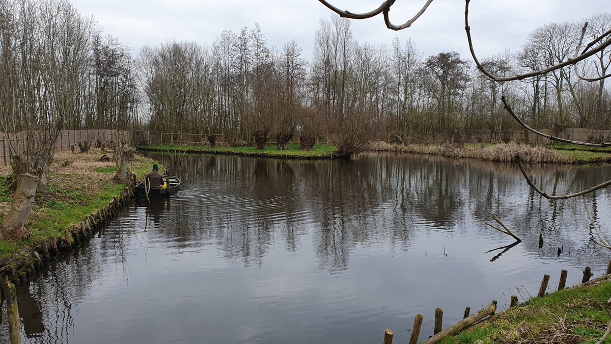Familie v/d Kooij gebruikt land van Natuurmonumenten, die vlakbij een eeuwenoude eendenkooi heeft. Dit cultuurhistorische en typisch Nederlandse fenomeen is te bezoeken.  Vanaf  erf vertrekt elk half uur tussen 11.30 en 14 uur een gids wandelend naar de kooi. @Natuurmonument