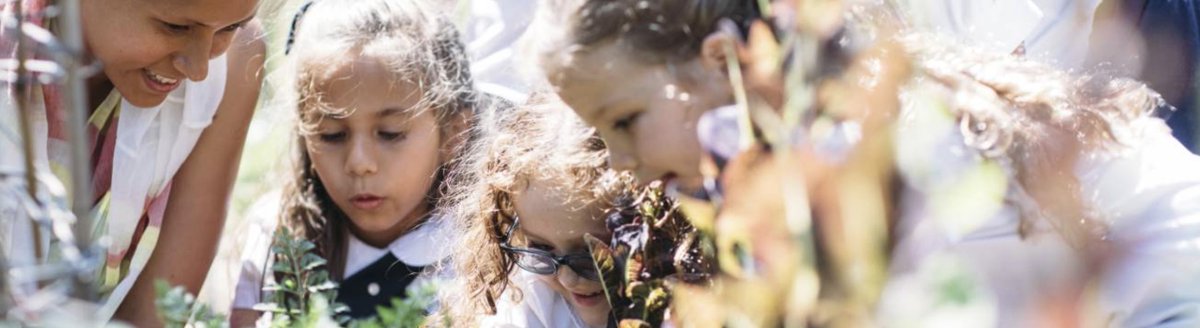 Christian Deeper Learning tweet media