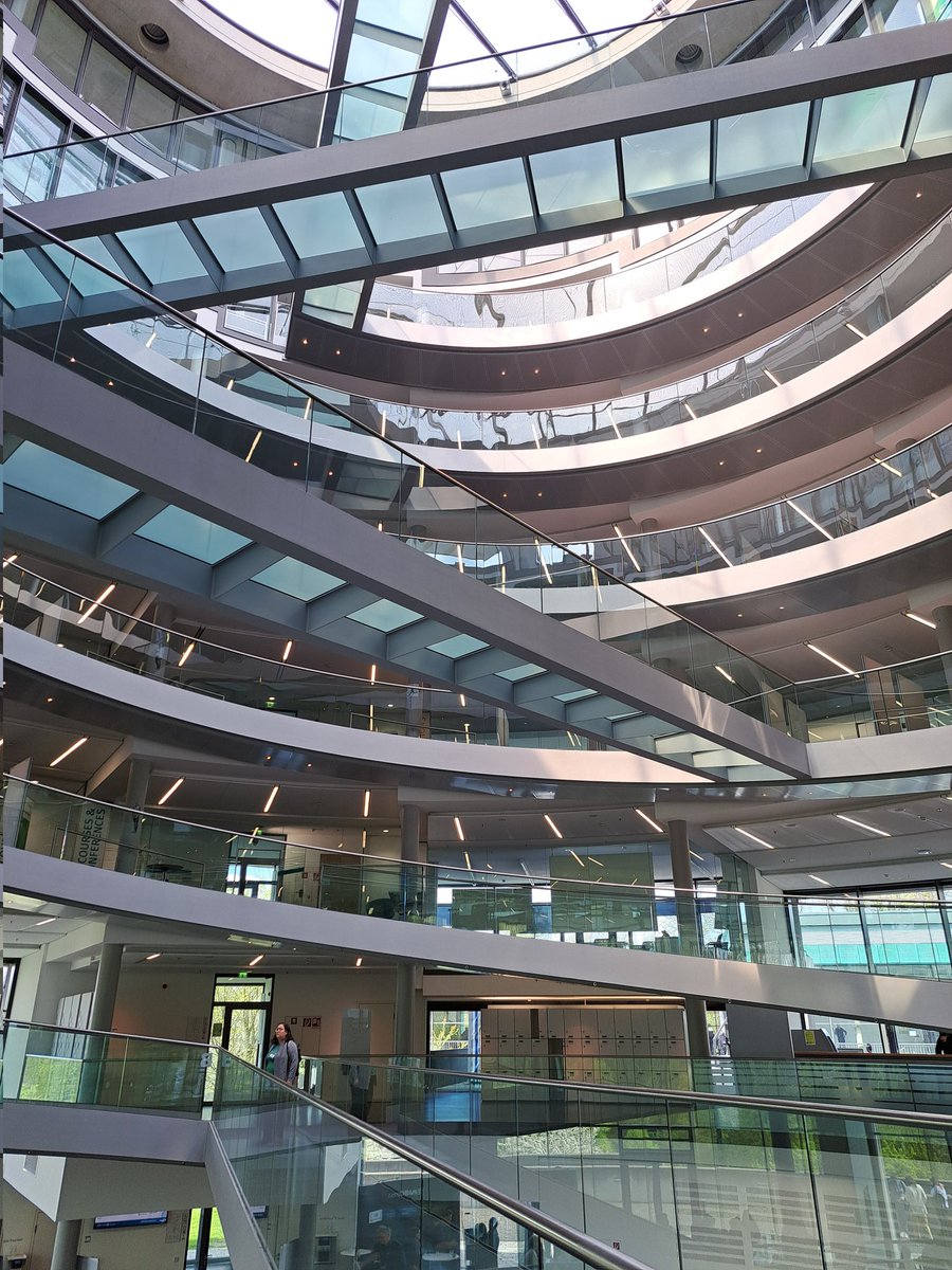 Lisa Emmenegger tweet media