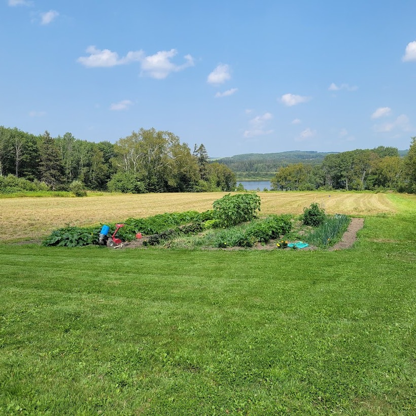 In case her heartfelt reflection on #whyIwentrural doesn't do the trick, Dr. Desjardins' stunning photos of rural Maine should reel you in! 
#dentalmedicine #mainedentist #UNECDM #PortlandME #Portlanddentist