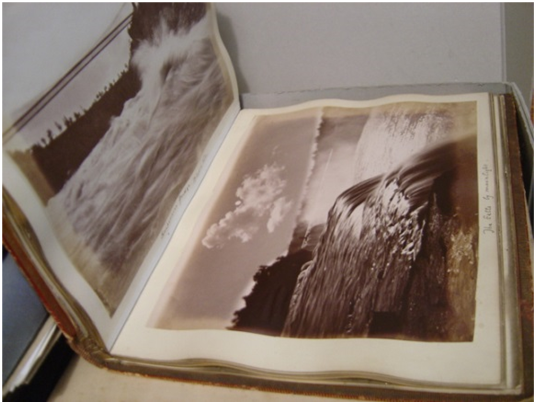 Photo Collections tweet media