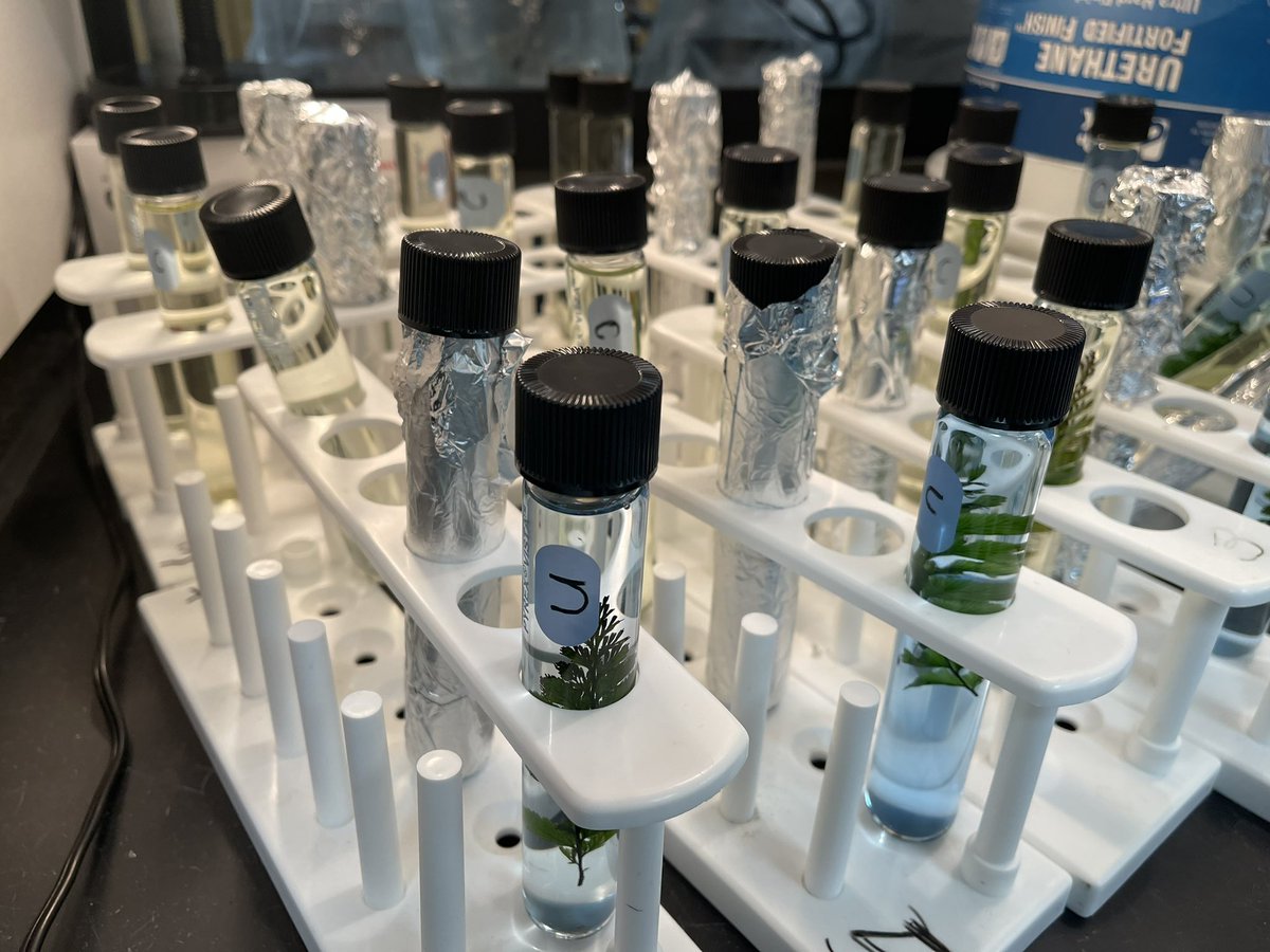 Doreen Silakowski tweet media