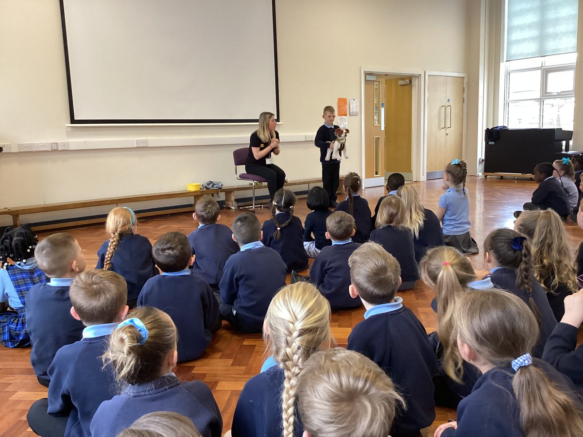 BramblesTVEd's tweet photo. Today, Brambles had the opportunity to attend a workshop with @DogsTrust. We learned about how we can be safe around dogs following 5 rules. These include leaving a dog alone when it is eating and making sure we are quiet when we are around them so we don't hurt their ears. https://t.co/w8K0pE2kWo